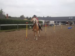 img_2208_web